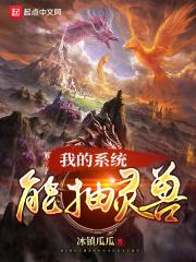 我的抽奖系统里竟然能抽系统