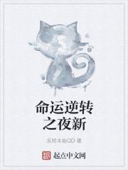 逆转命运装备