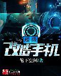有没有改装手机的