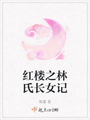 红楼之林氏长兄林家庶长子