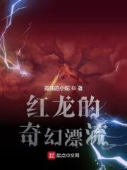 少年他的奇幻漂流
