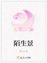 陌生的景