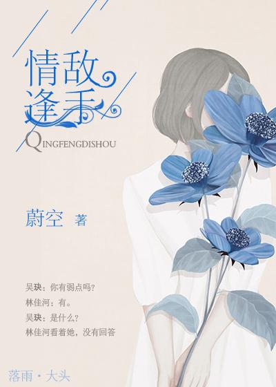 情逢敌手讲的什么