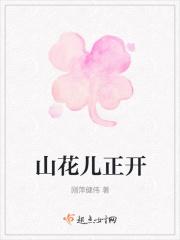 山上的山花儿开呀