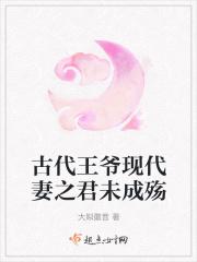 古代王爷现代妃