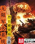 无限军火库txt