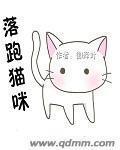 猫咪跑了怎么办
