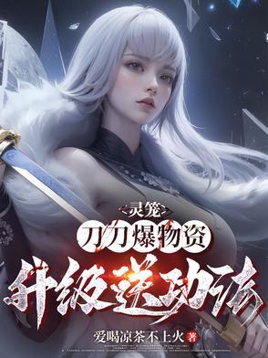 灵笼里的装备