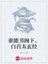 白首太玄经TXT