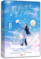 今天追到妻了吗免费阅读